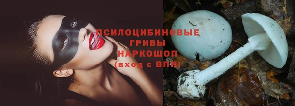 кокс Пестово