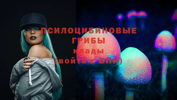 бутик Пересвет
