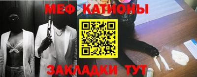 индика Гатчина