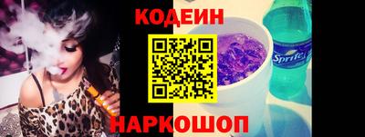 индика Гатчина