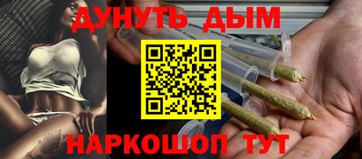 индика Гатчина