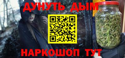 индика Гатчина