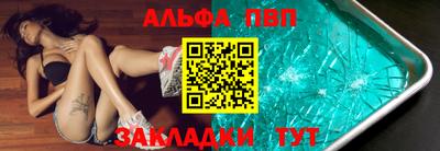 индика Гатчина