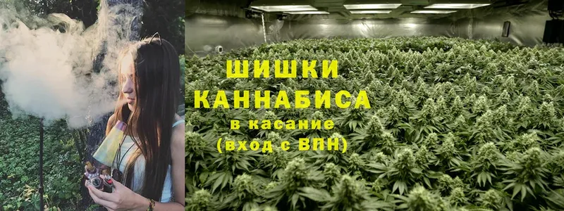 Бошки Шишки Bruce Banner  купить  сайты  Камышлов 